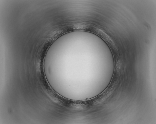 X0000112180209200908281409