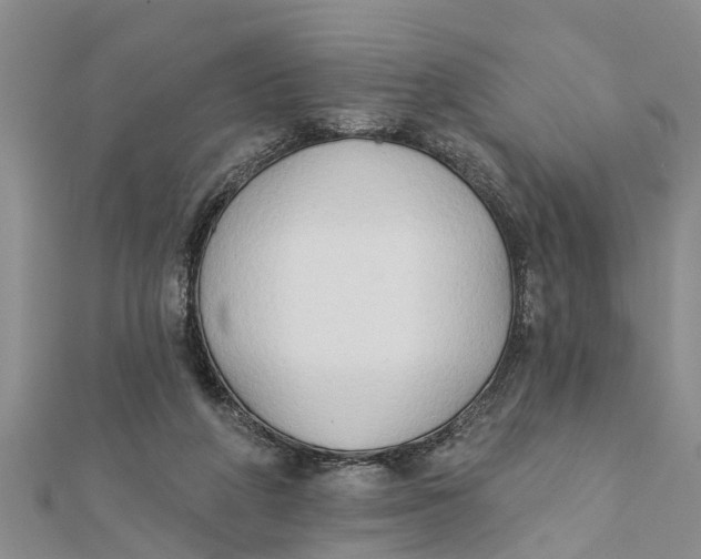 X0000112180210200908281409