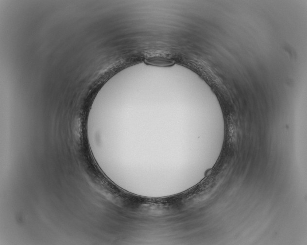 X0000112180211200908281409