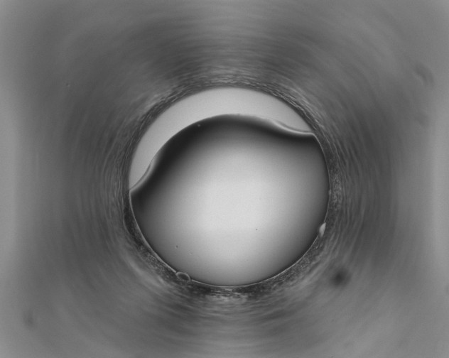 X0000112180215200908281409