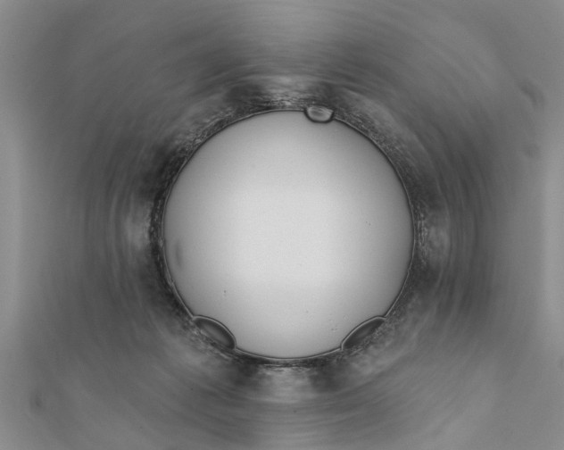 X0000112180221200908281409