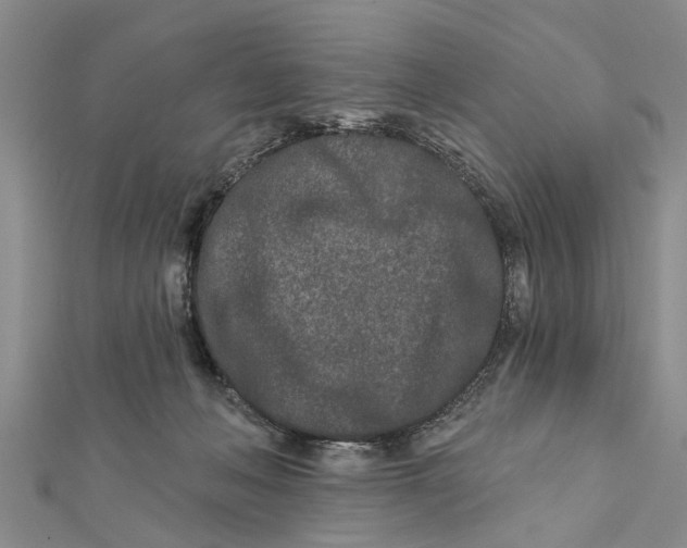 X0000112180222200908281409