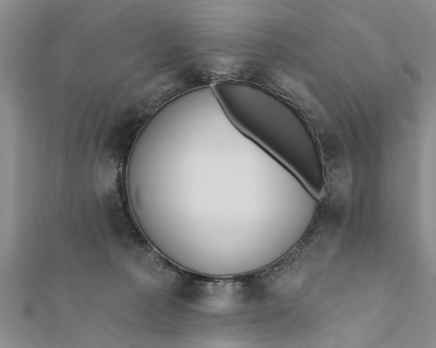 X0000112180225200908281409