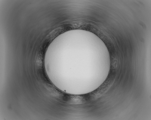 X0000112180226200908281409