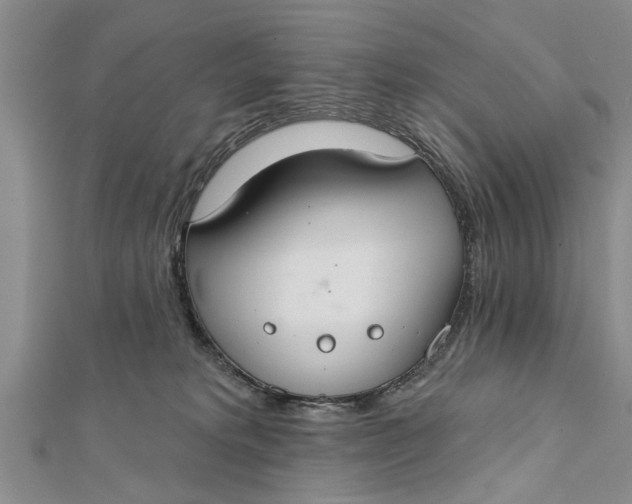 X0000112180229200908281409