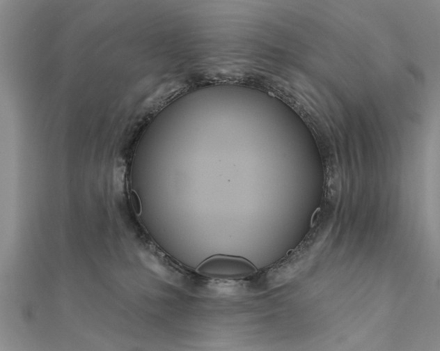 X0000112180231200908281408