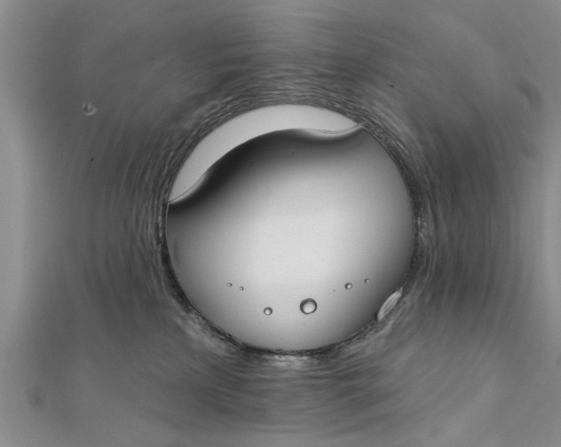 X0000112180233200908281408