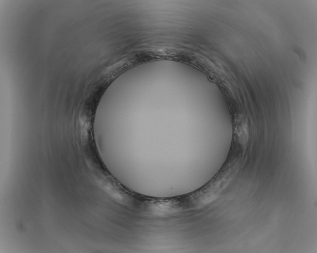 X0000112180235200908281408