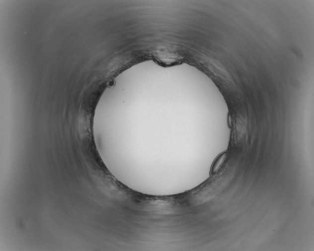 X0000112180236200908281408