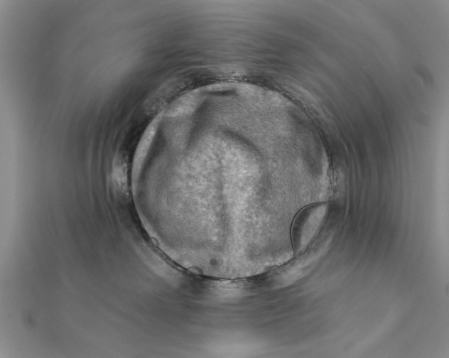 X0000112180238200908281408