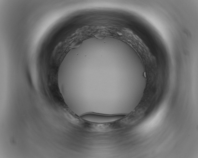 X0000112180239200908281408