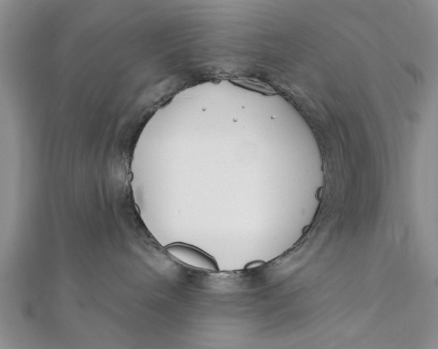 X0000112180240200908281408