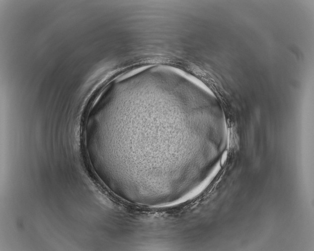 X0000112180243200908281408