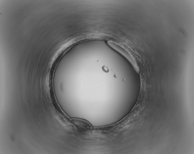 X0000112180244200908281408