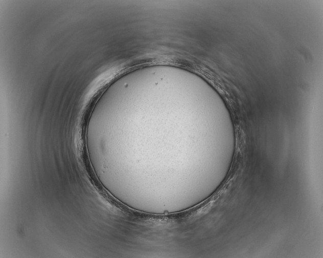 X0000112180245200908281408