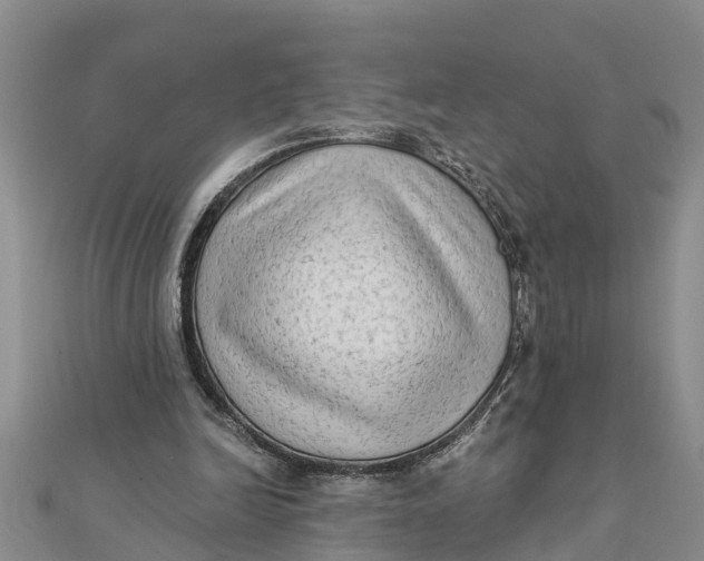 X0000112180246200908281408