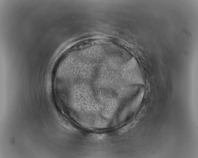 X0000112180247200908281408