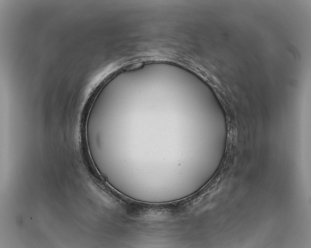 X0000112180248200908281408