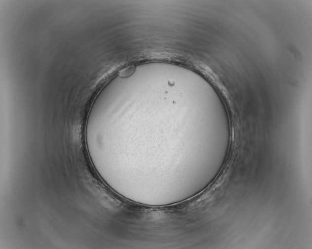 X0000112180249200908281408