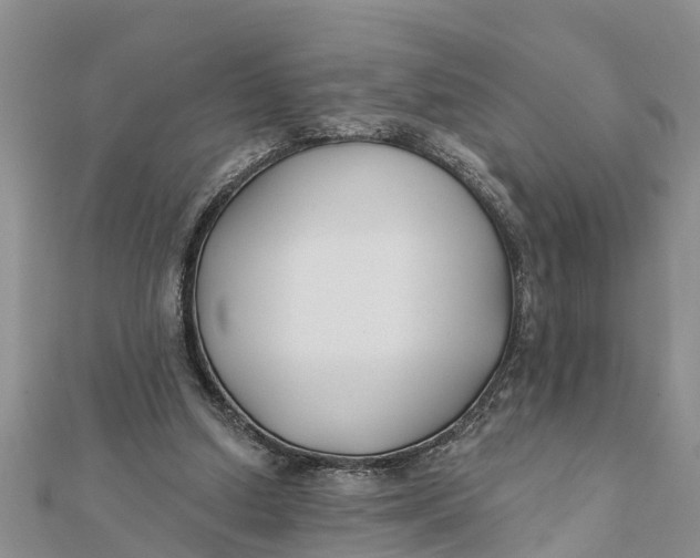 X0000112180250200908281408