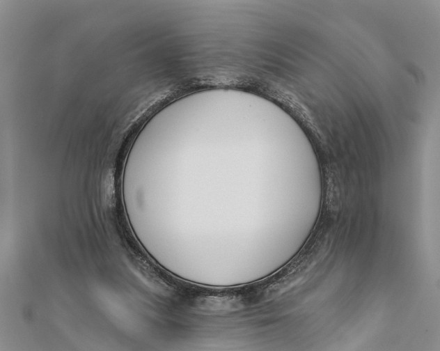 X0000112180251200908281408