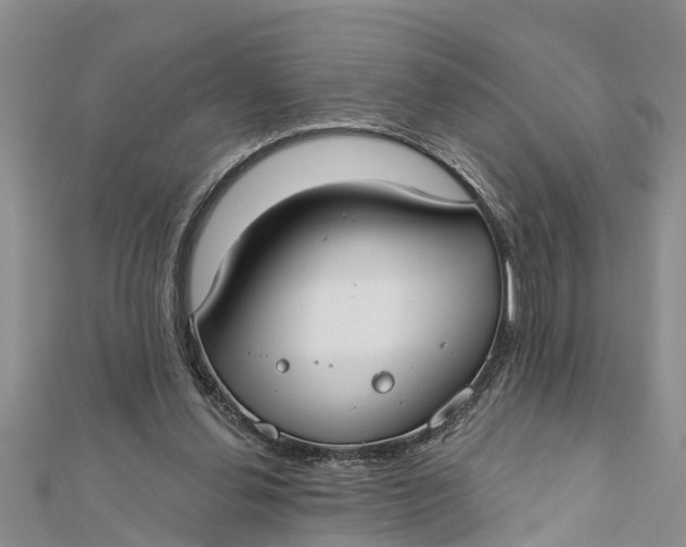 X0000112180252200908281408