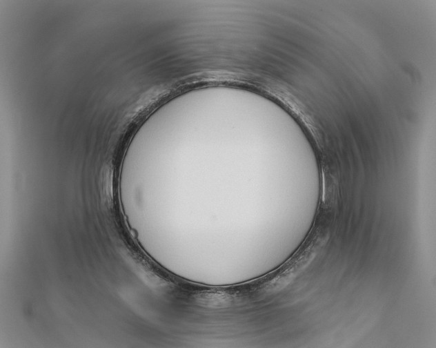 X0000112180253200908281408