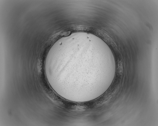 X0000112180255200908281408