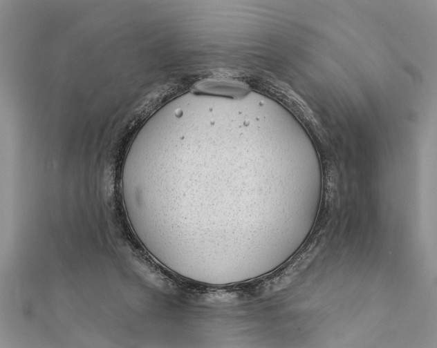 X0000112180257200908281408