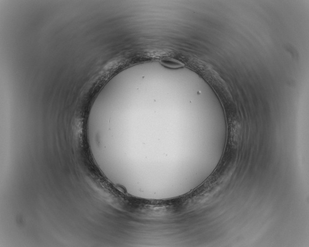 X0000112180260200908281408