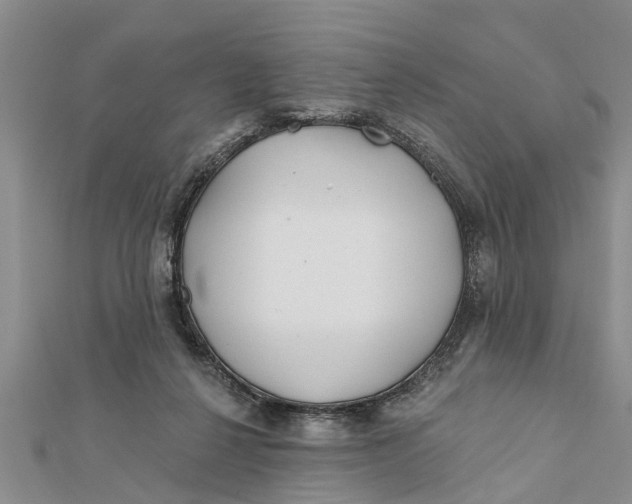 X0000112180264200908281408