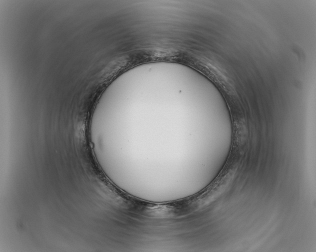 X0000112180269200908281408