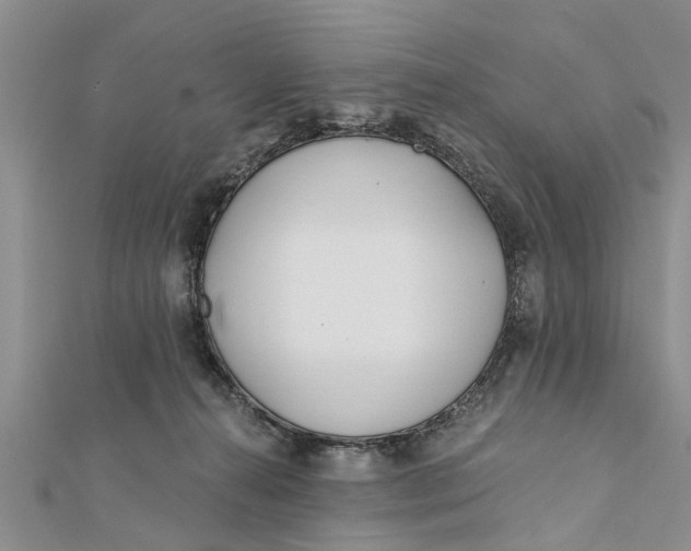 X0000112180272200908281408