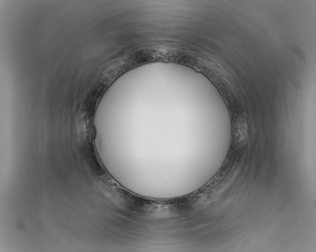 X0000112180276200908281408