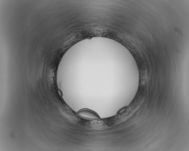 X0000112180279200908281408