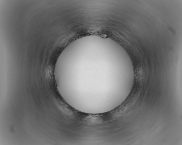 X0000112180280200908281408