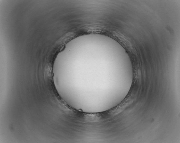 X0000112180281200908281408