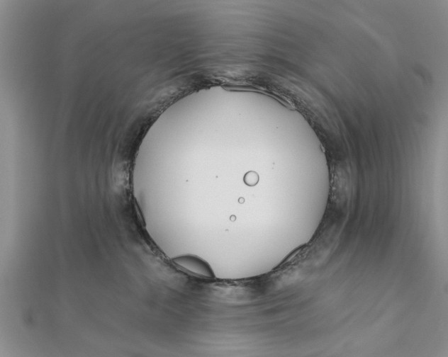 X0000112180284200908281408