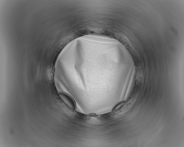 X0000112180285200908281408