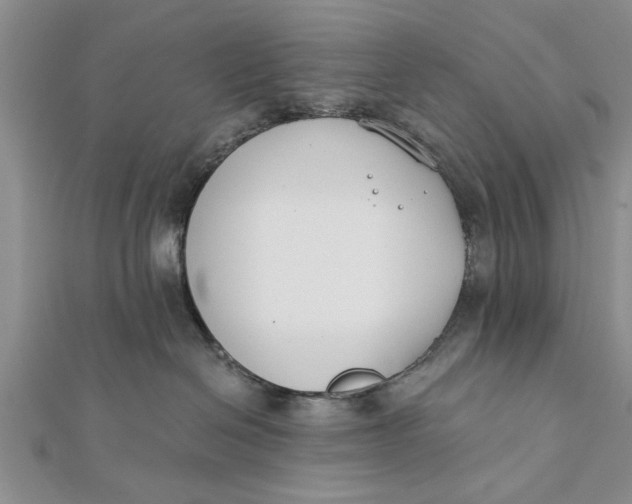 X0000112180286200908281408