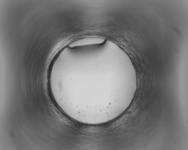 X0000112180293200908281408