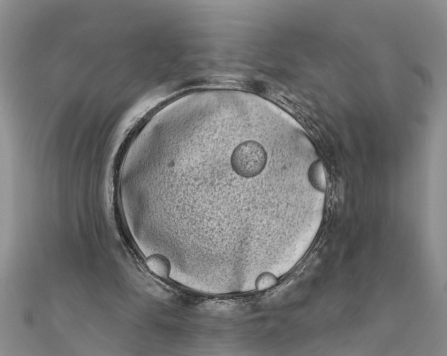 X0000112180294200908281408