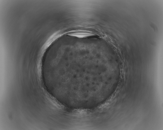 X0000112180295200908281408