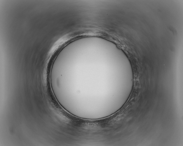 X0000112180296200908281408