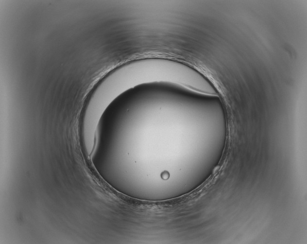 X0000112180297200908281408