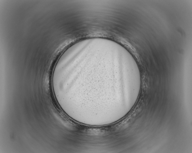 X0000112180298200908281408