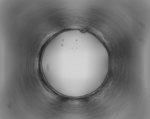 X0000112180299200908281408