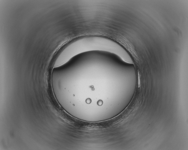 X0000112180300200908281408