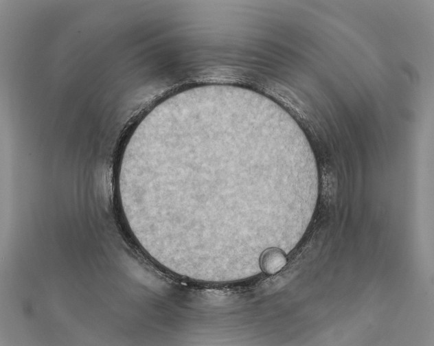 X0000112180302200908281408