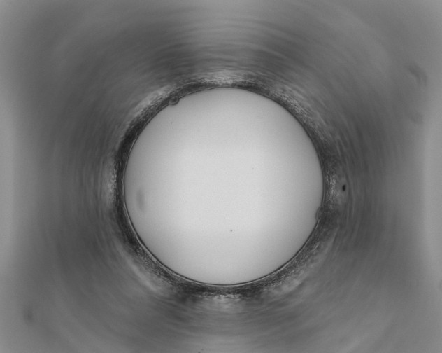 X0000112180304200908281407